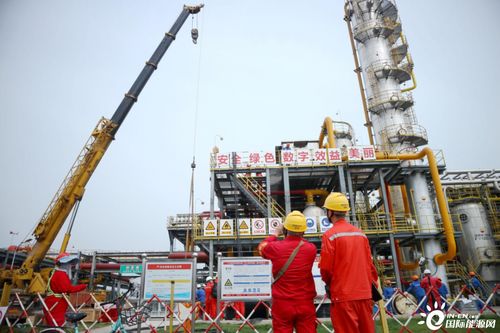 國內(nèi)最大的天然氣凈化廠開始大修