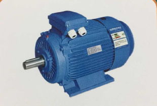 辰馬物資 專業(yè)的西安ykk系列高壓三相異步電動機公司 寶雞西瑪電機